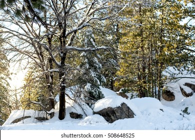 Boulder Rocks, Climate Change At Southern California, Big Bear Mountain, San Bernardino, 2016