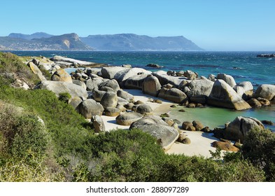 Boulders Beach In Cape Peninsula, South Africa