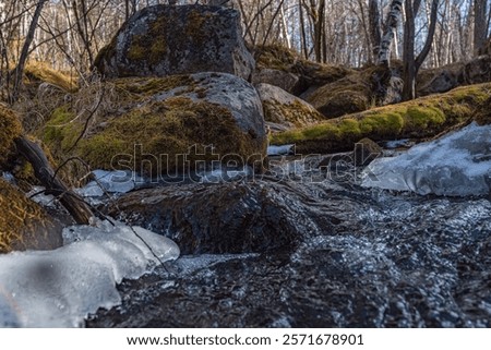 Similar – Image, Stock Photo Cobblestone with moss, autumnal