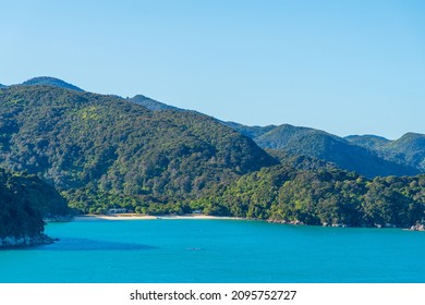 Boundary Bay At Abel Tasman National Park In New Zealand