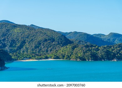 Boundary Bay At Abel Tasman National Park In New Zealand