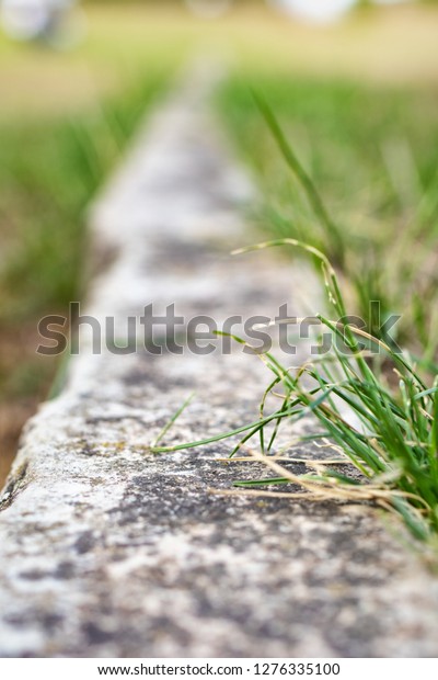 Boundary line in lawn made\
of limestone