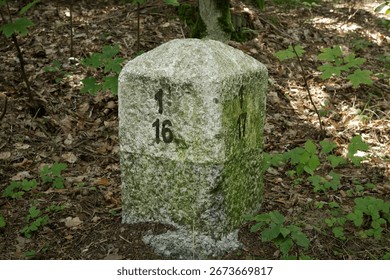 a boundary stone inside the forest