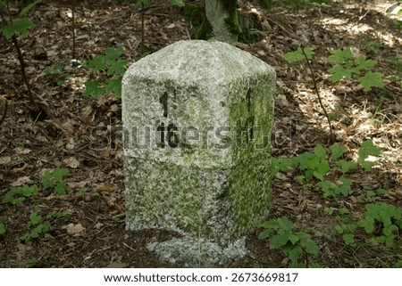 a boundary stone inside the forest