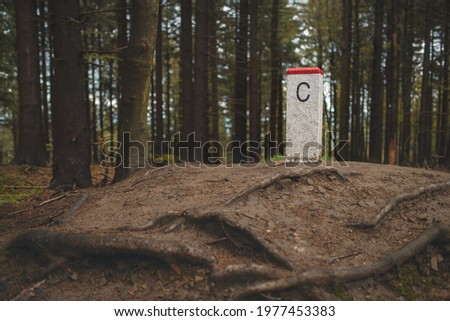 Boundary stone marking Czech Republic border in the middle of the forest.
