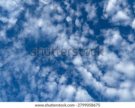 Boundless celestial canvas painted with soft luminous cumuli scattered across the daytime zenith