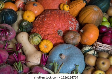 A bountiful display of pumpkins, beetroot, apples and gourds at harvest time - Shutterstock ID 1526124734