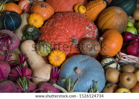A bountiful display of pumpkins, beetroot, apples and gourds at harvest time