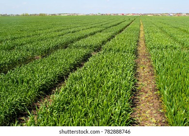 Bountiful Harvest Stock Photo 782888746 | Shutterstock