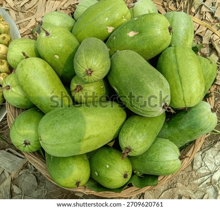 A bountiful wicker basket overflows with vibrant green mangoes. These fresh, ripe fruits promise a delightful tropical taste, perfect for eating fresh or culinary creations.