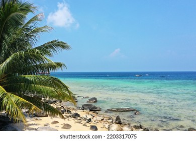 Bounty Beach Of Tioman Island In Malaysia With Beautiful Blue Water And Palm Trees