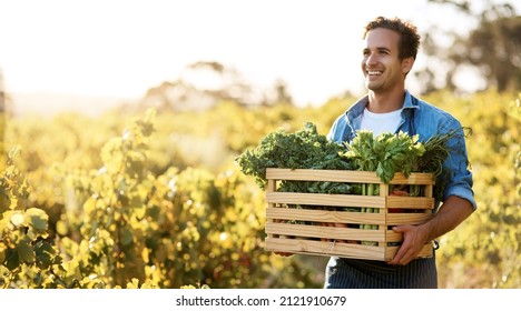 The Bounty Of My Efforts. Shot Of A Young Man Holding A Crate Full Of Freshly Picked Produce On A Farm.