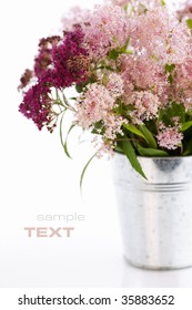 Bouqet Of Flowers In A Pot Over White (with Sample Text)