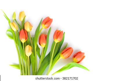 Bouqet of orange and yellow tulips isolated on white background