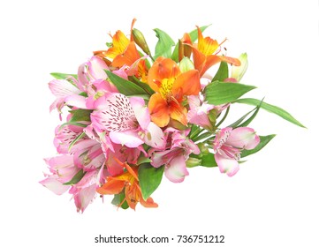 Bouquet Of Alstroemeria