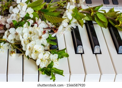 ピアノ 花 の写真素材 画像 写真 Shutterstock
