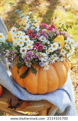 Bouquet of autumn flowers in pumpkin on chair outdoors
