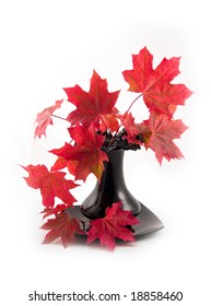 bouquet of autumn red maple leaves in black vase on white background