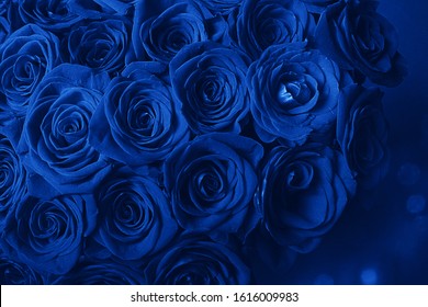 Bouquet Of Beautiful Blue Roses. Trend color classic blue. Color of 2020. Main trend of the year. Valentine's Day. Selective Focus, Blue Creative Tinting 
