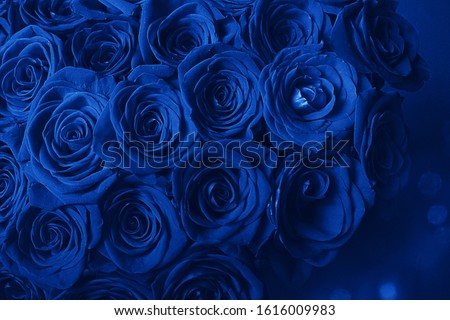 Bouquet Of Beautiful Blue Roses. Trend color classic blue. Color of 2020. Main trend of the year. Valentine's Day. Selective Focus, Blue Creative Tinting 