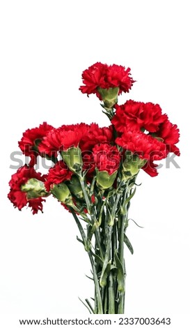 bouquet of beautiful flowers red carnations