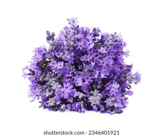 Bouquet of beautiful lavender flowers isolated on white - Powered by Shutterstock