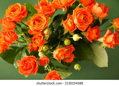 beautiful orange rose wallpaper