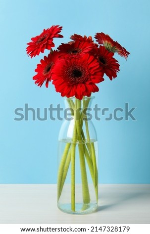 Bouquet of beautiful red gerbera flowers in glass vase on light blue background