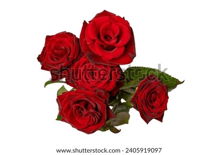 A bouquet of beautiful red roses isolated on a white background. Top view.