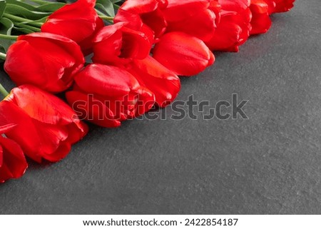 Bouquet of beautiful red tulips on black granite monument with empty space for text.

Flat lay creative mockup.


