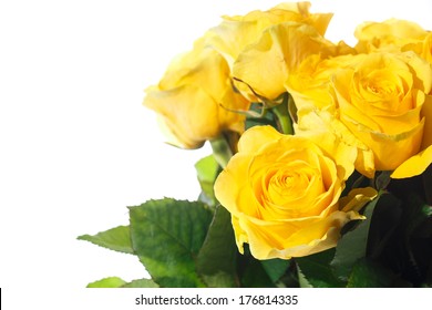 bouquet of beautiful roses on a white background