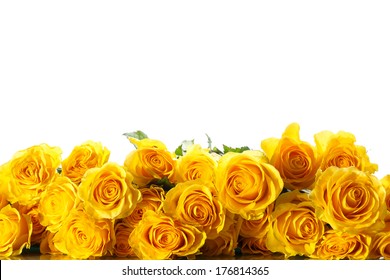 bouquet of beautiful roses on a white background
