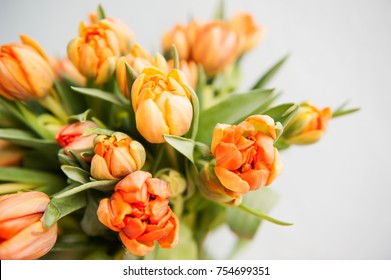 bouquet of beautiful tulips 
