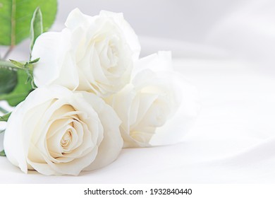 ramo hermosas rosas blancas