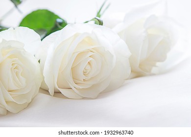 Bouquet Of Beautiful White Roses On A Light Background