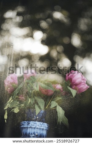 Similar – Foto Bild last roses Umwelt Natur