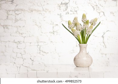 Bouquet of blooming white grape hyacinths in a white vase on a old white brick wall shining through