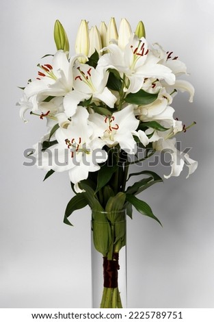 Bouquet of blooming white lilies in a glass vase on a white background. White lilies in a vase isolated