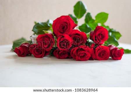 Bouquet of blossoming dark red roses lying on the table. Clear background. Valentine's Day love gift.