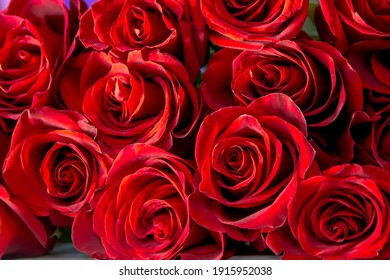 Bouquet Of Burgundy Roses, Flower Buds As A Background.