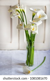 A Bouquet Of Calla Lilies On A White Background Italy