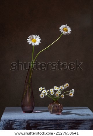 Similar – Image, Stock Photo For Mommy Plant Flower