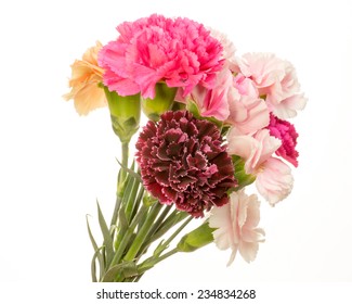 Bouquet Of Carnation