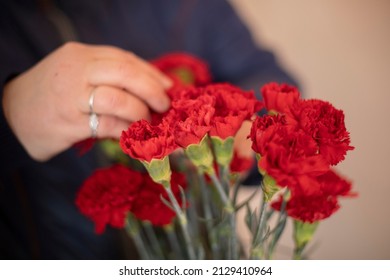 Bouquet of carnations. Red flowers. Prepare flowers. Opening petals.