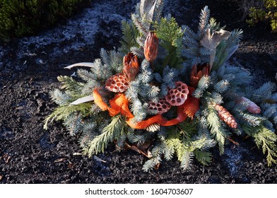 Bouquet Of Cemetery Flowers On A Graveyard