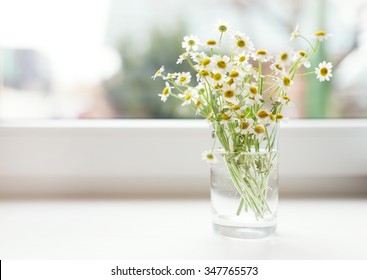 Bouquet Of Chamomiles Flowers On The Window Sill