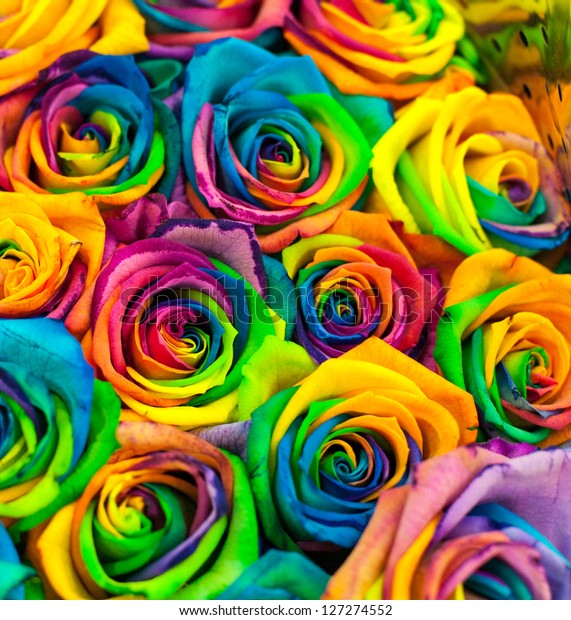 bouquet of colored roses\
(Rainbow rose)