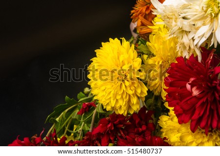 Similar – Foto Bild Herbst arrangement