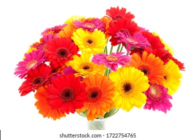 Bouquet of colorful Gerbera flowers over white background - Powered by Shutterstock