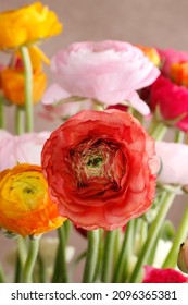 Bouquet of colorful persian buttercup flowers (ranunculus).